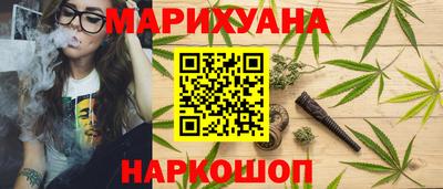 тгк Камышлов