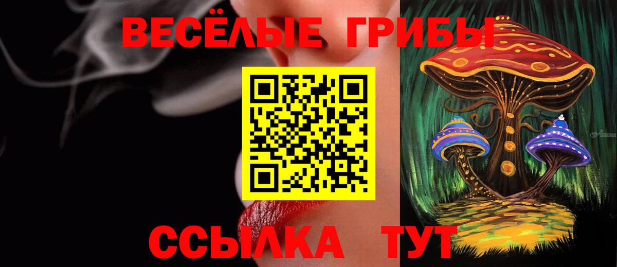 Углич  Псилоцибиновые грибы GOLDEN TEACHER  Вход с VPN  Псилоцибиновые грибы Psilocybine cubensis 